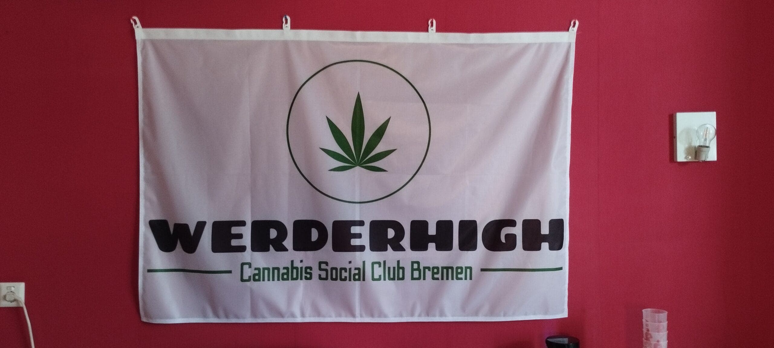 WERDERHIGH e.V. — Bild 4