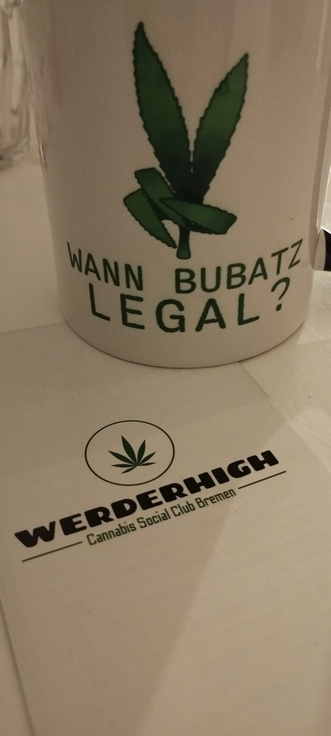 WERDERHIGH e.V. — Bild 3