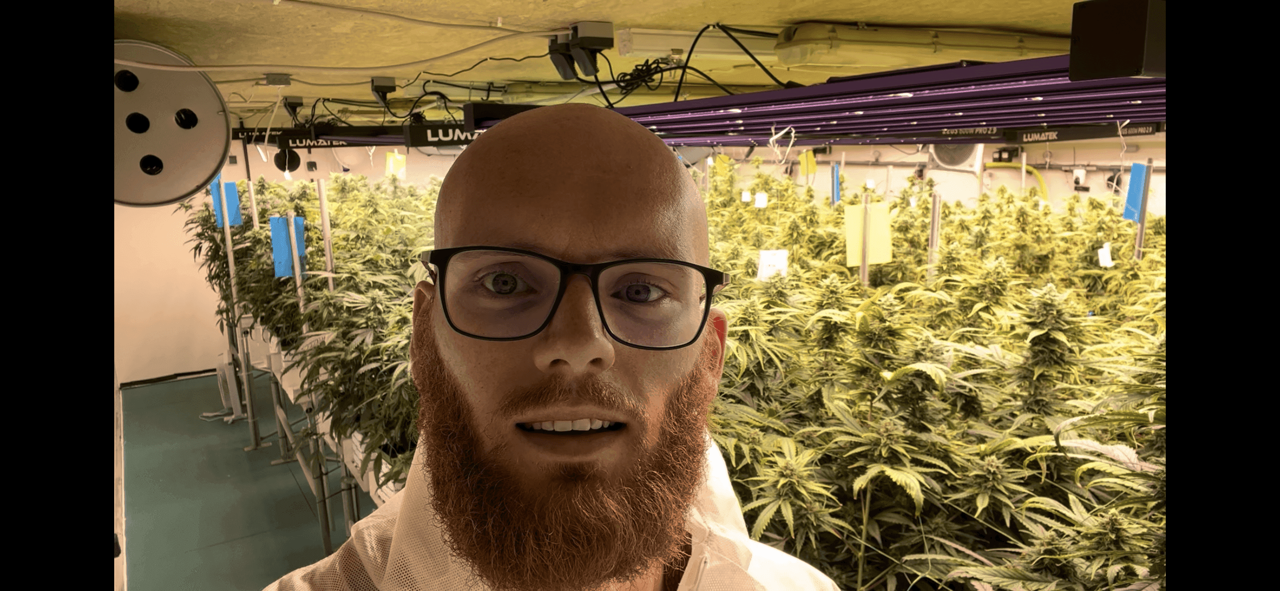 Elevate Cannabis Club Remstal — Bild 4