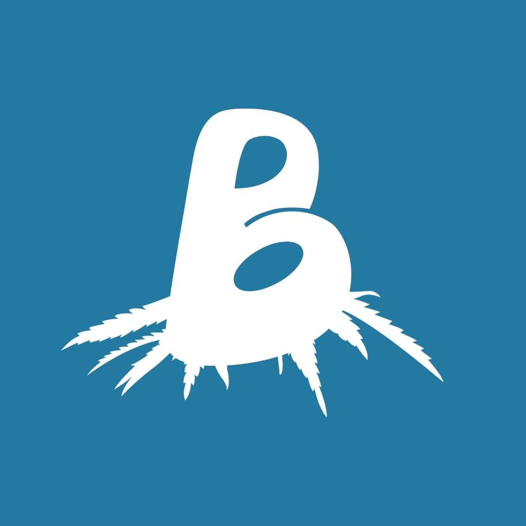Budz Berlin e.V. — Bild 1