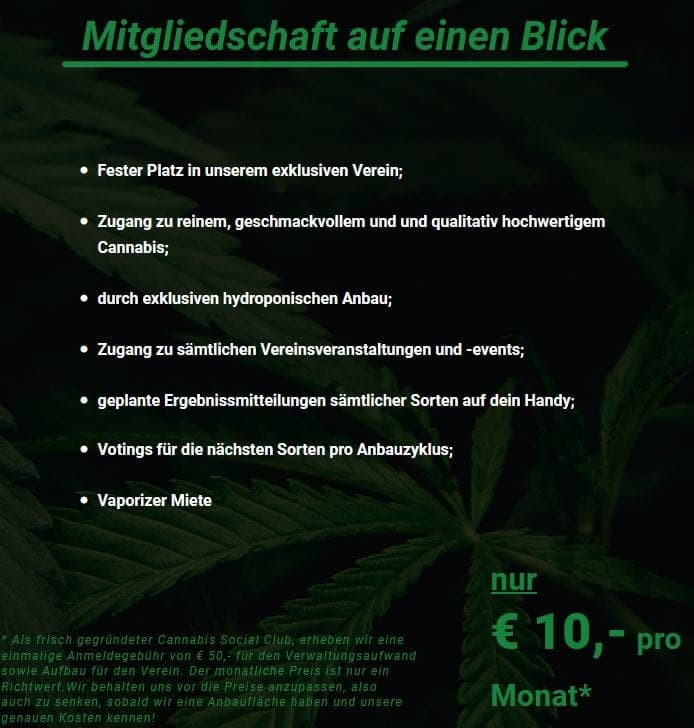 CSC Green Oasis Hamburg e.V. — Bild 1