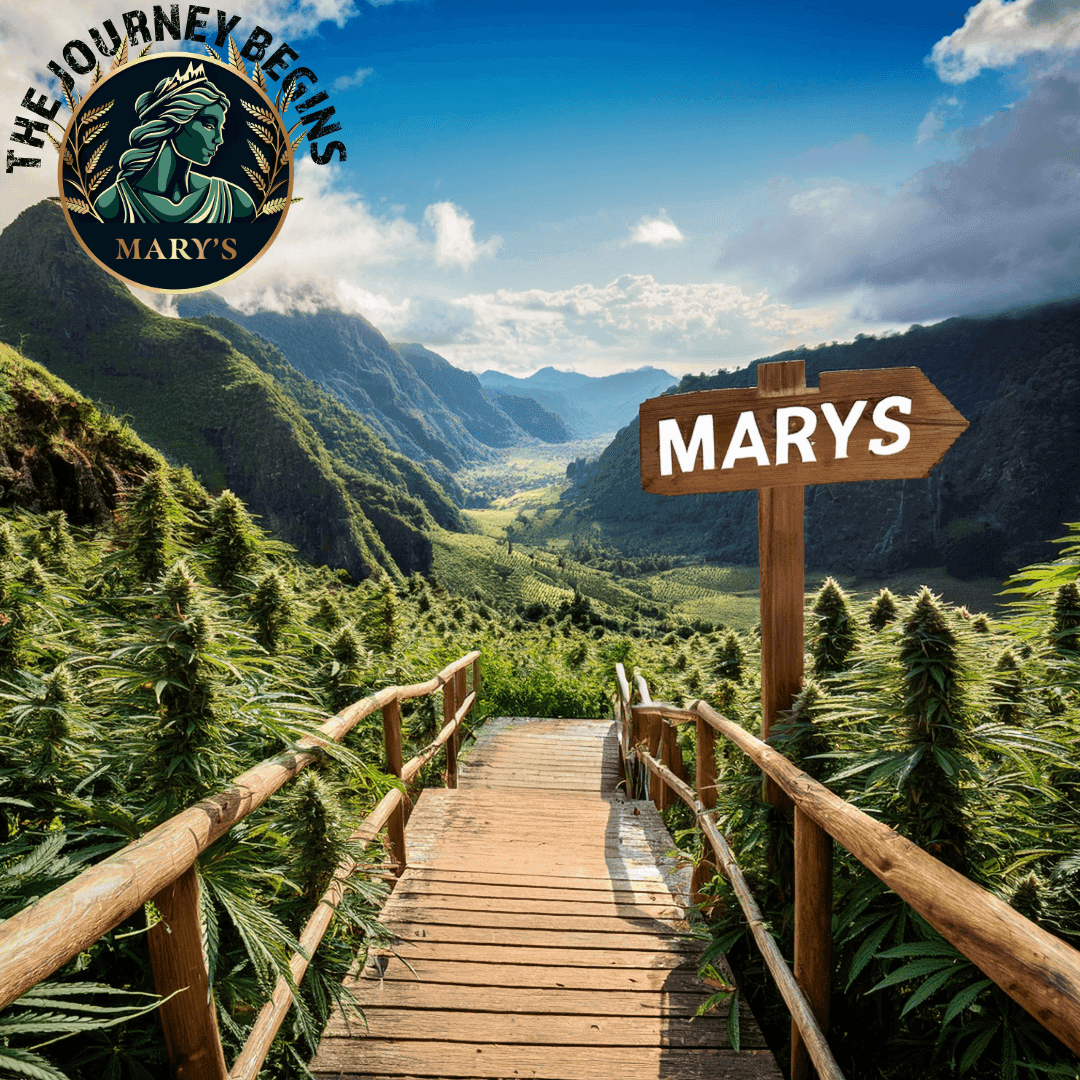 Mary's e.V. — Bild 1