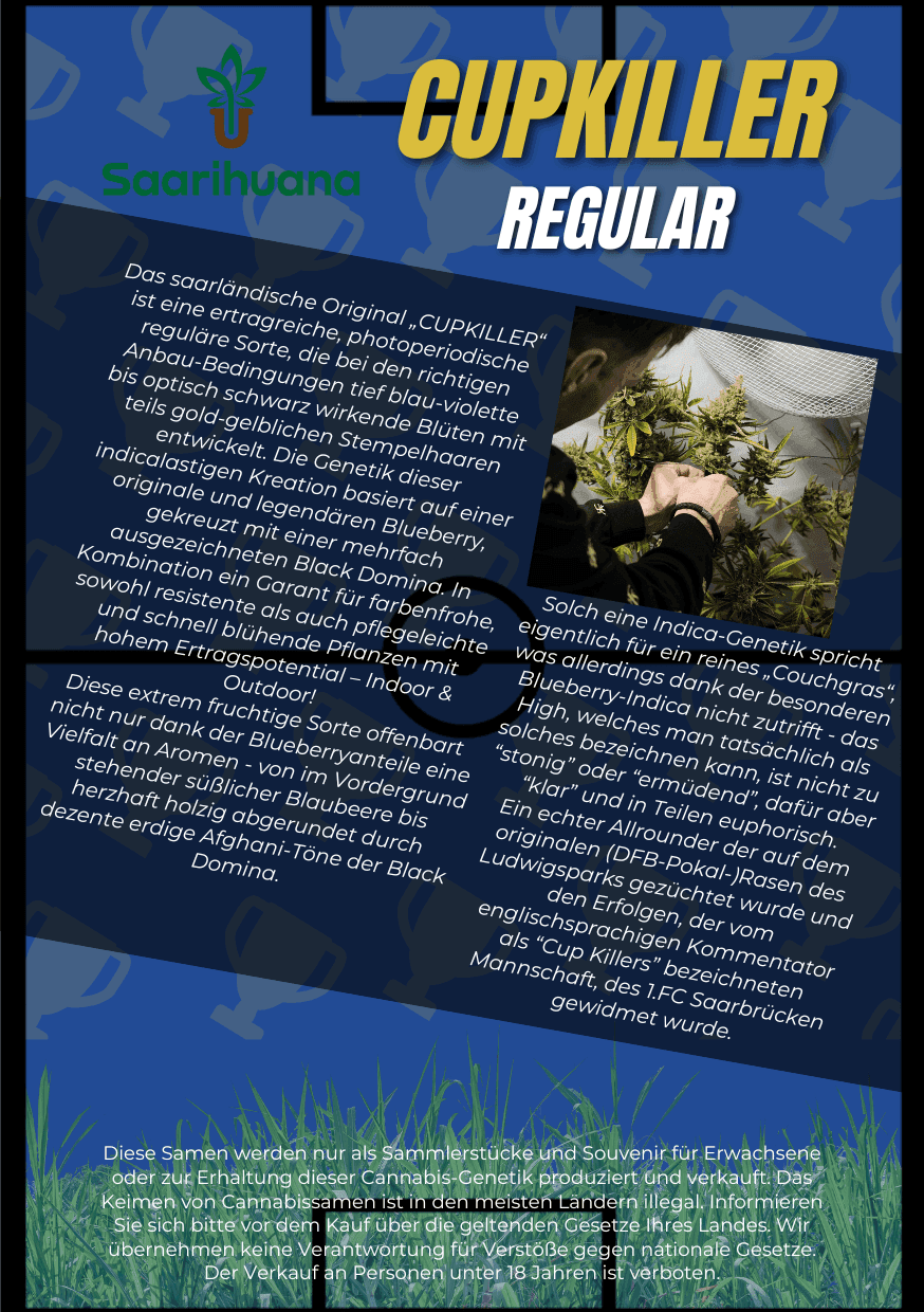 Saarihuana e.V. — Bild 1