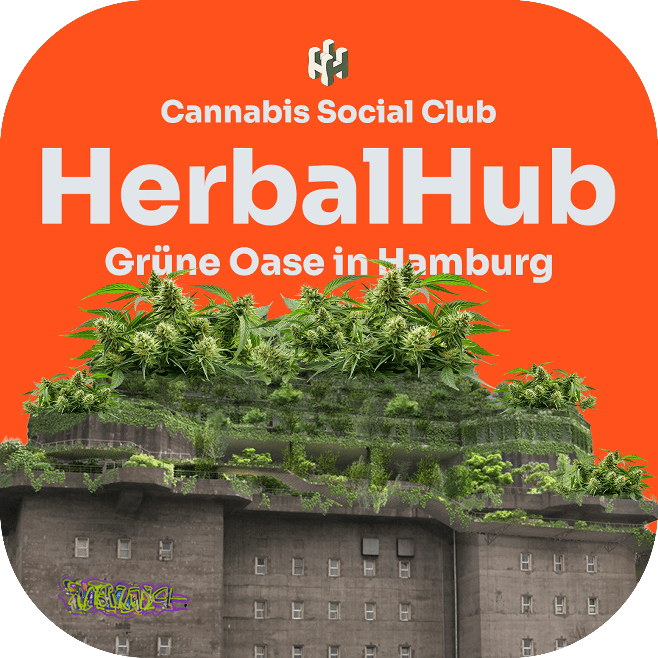 Herbal Hub e.V. — Bild 2