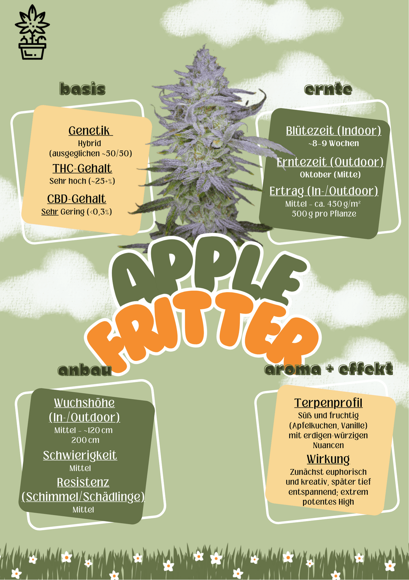 Ambrosia CSC e.V. — Bild 4