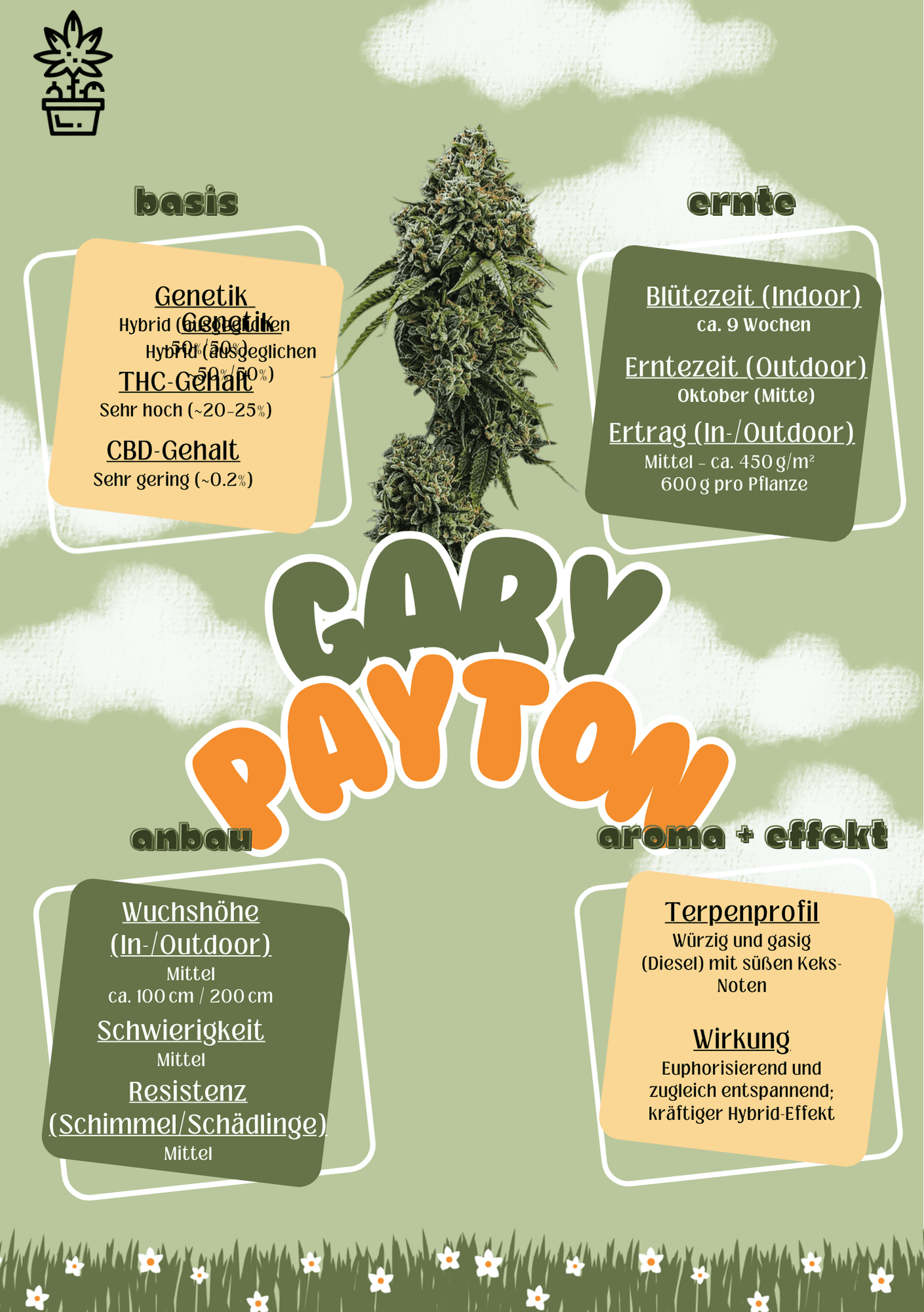 Ambrosia CSC e.V. — Bild 5