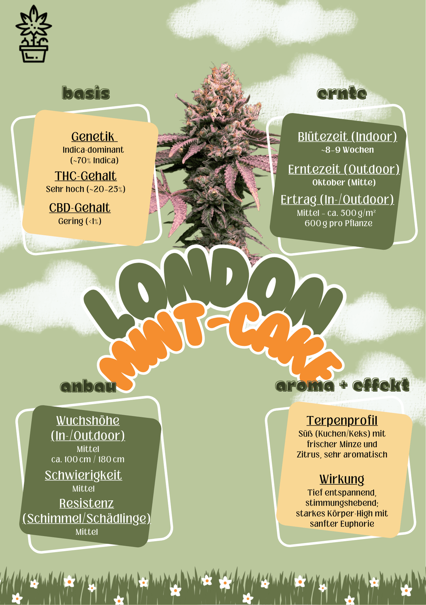 Ambrosia CSC e.V. — Bild 2