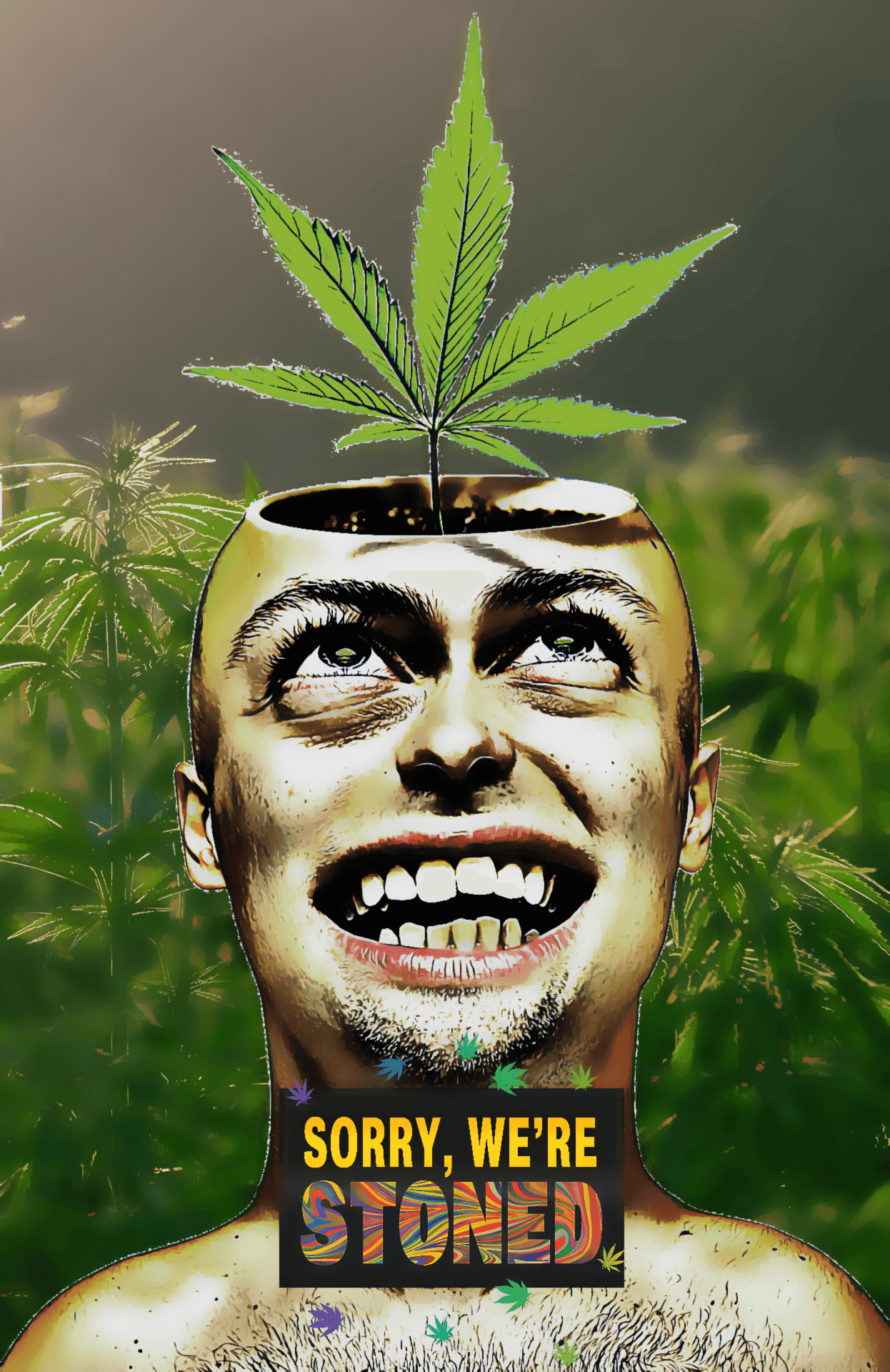 Cannabis Consumer Club Leipzig — Bild 2
