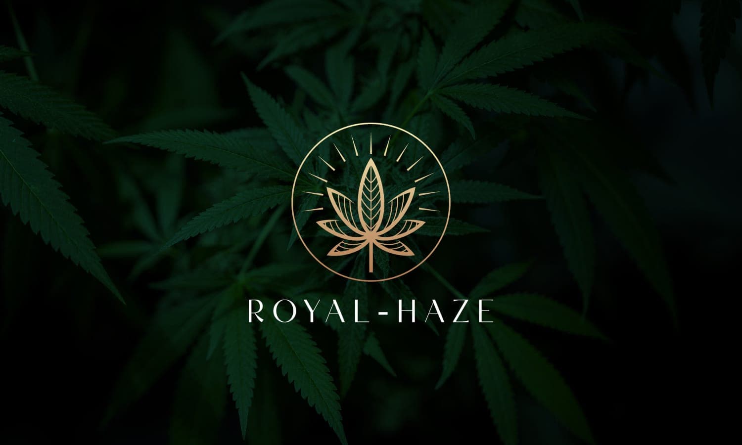 Royal-Haze e.V. — Bild 1