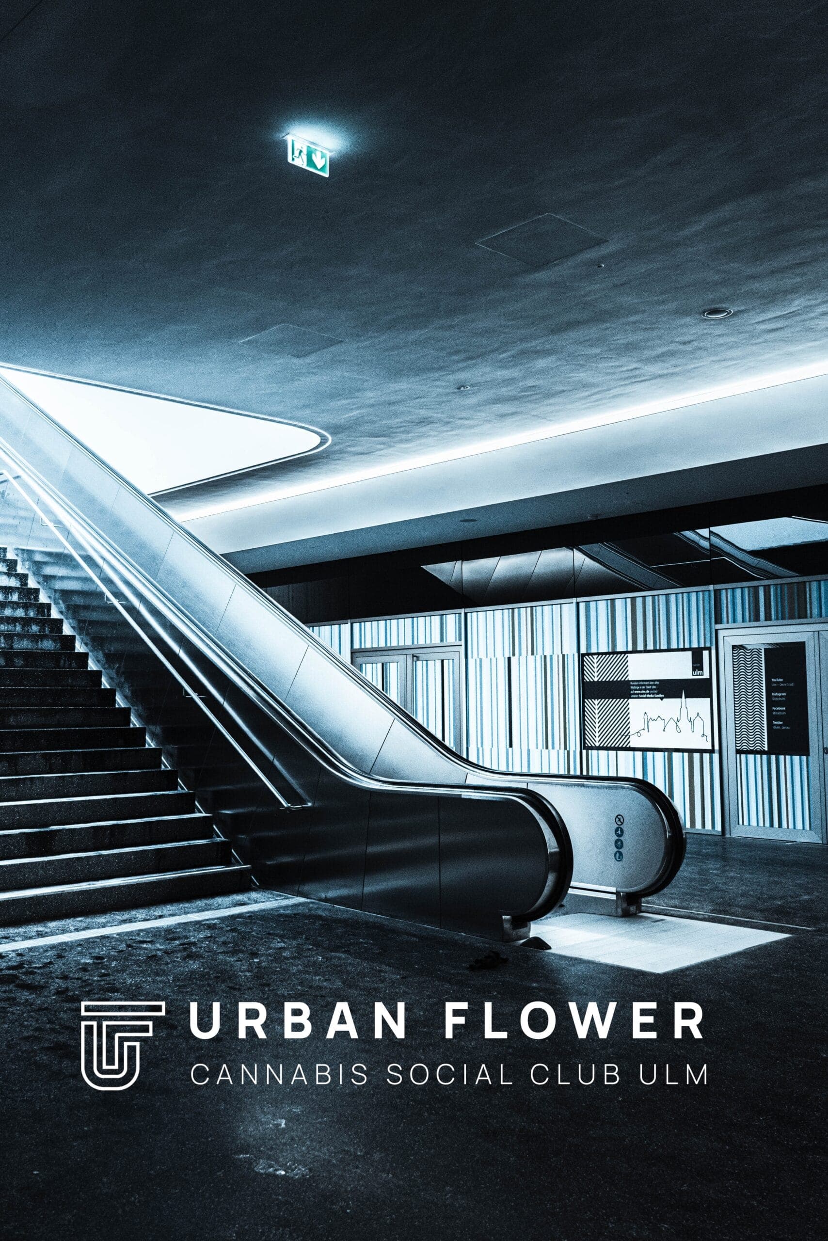 CSC Ulm | Urban Flower CSC — Bild 1