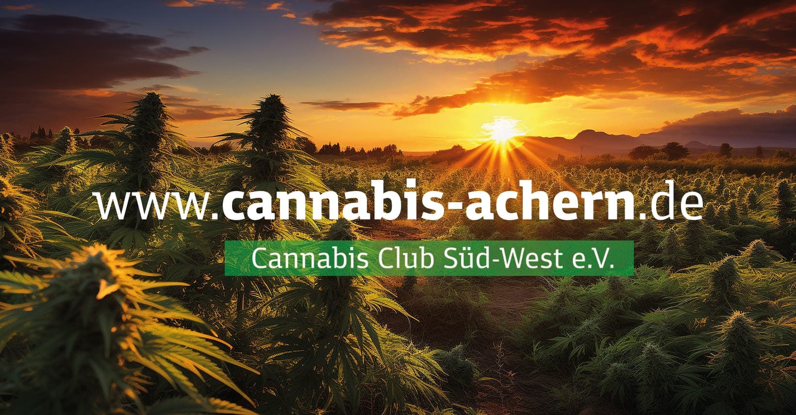Cannabis Club Südwest e.V. — Bild 2