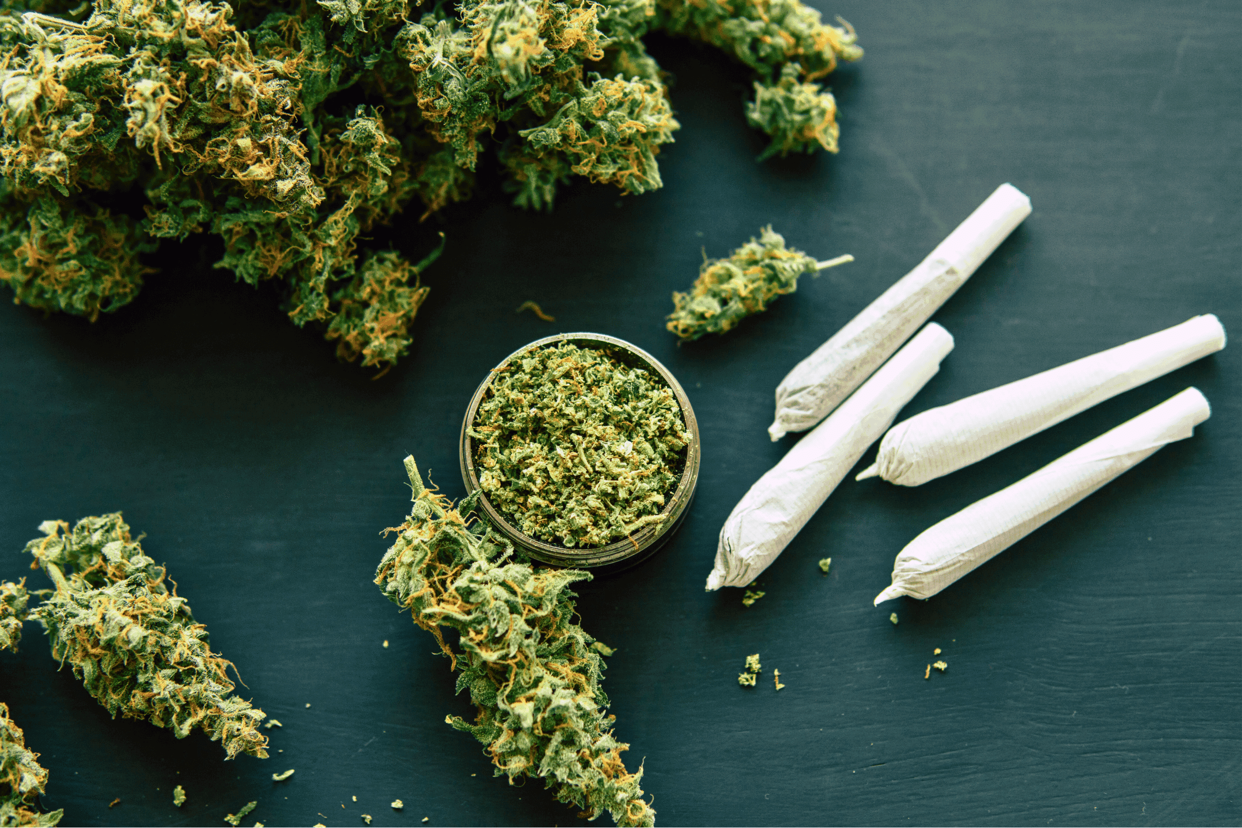 Mentalla Cannabis Social Club Tübingen — Bild 1
