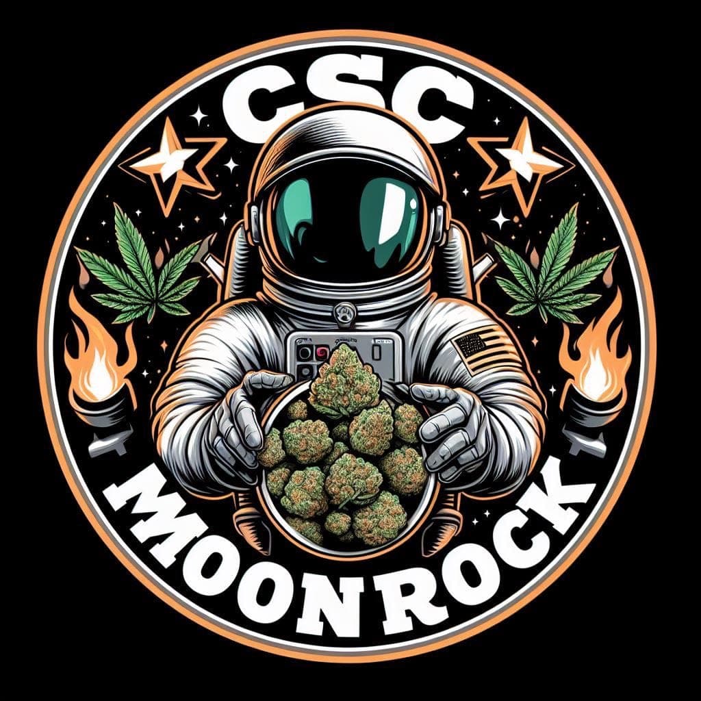 CSC Moonrock Lahr — Bild 1