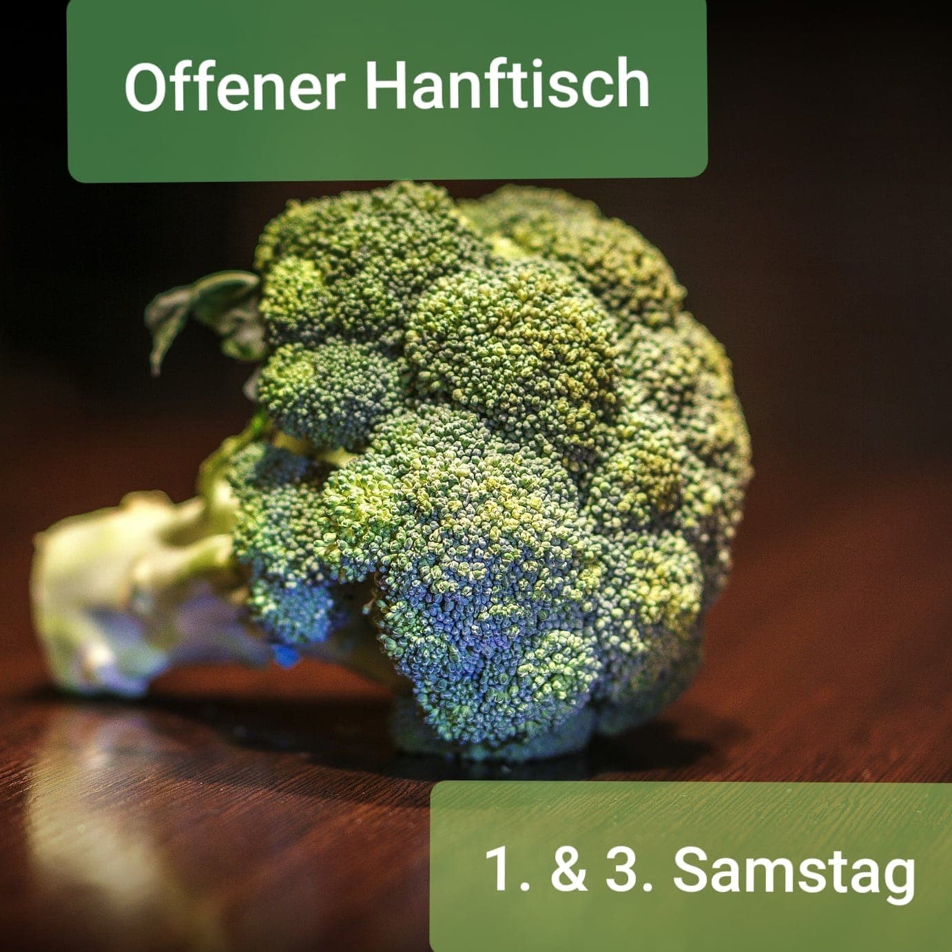 CSC Bergstraße — Bild 1