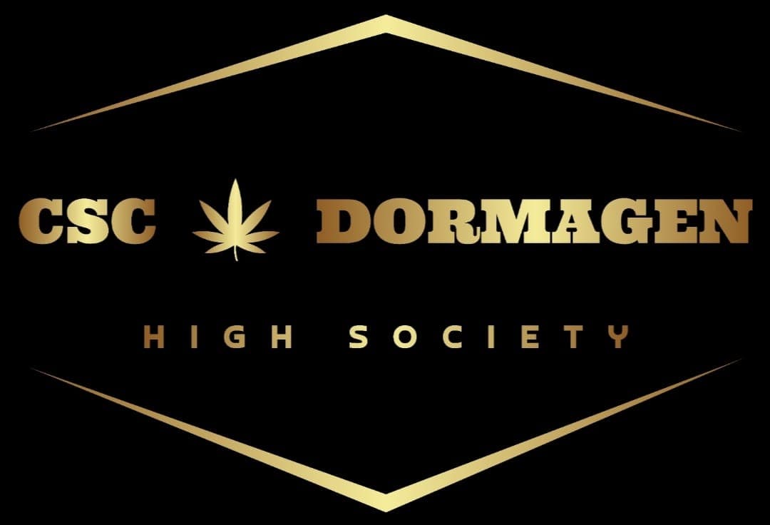 CSC Dormagen — Bild 1
