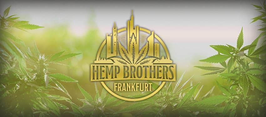 Hemp Brothers Frankfurt — Bild 1