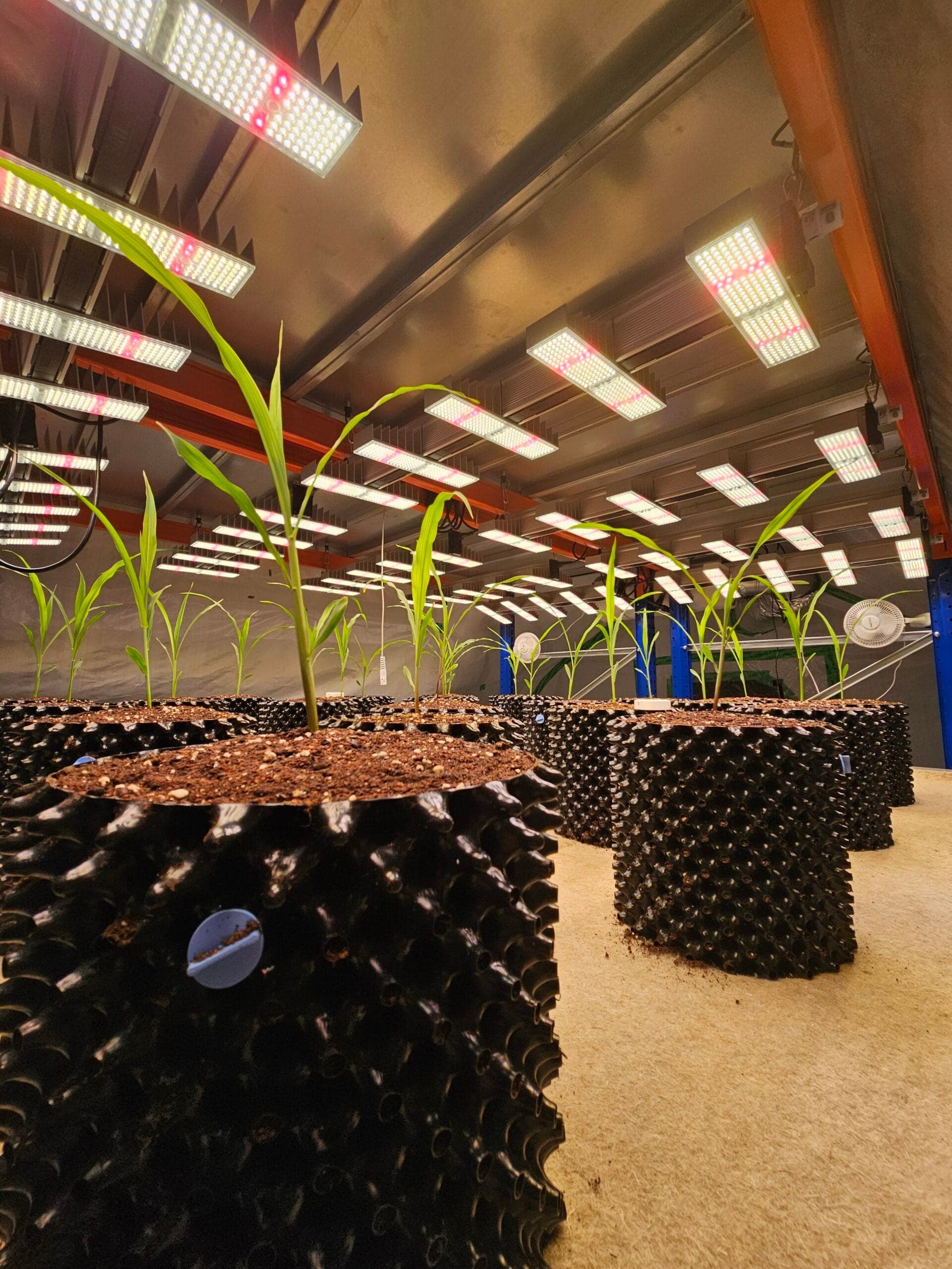 Urban Farm e.V. — Bild 5