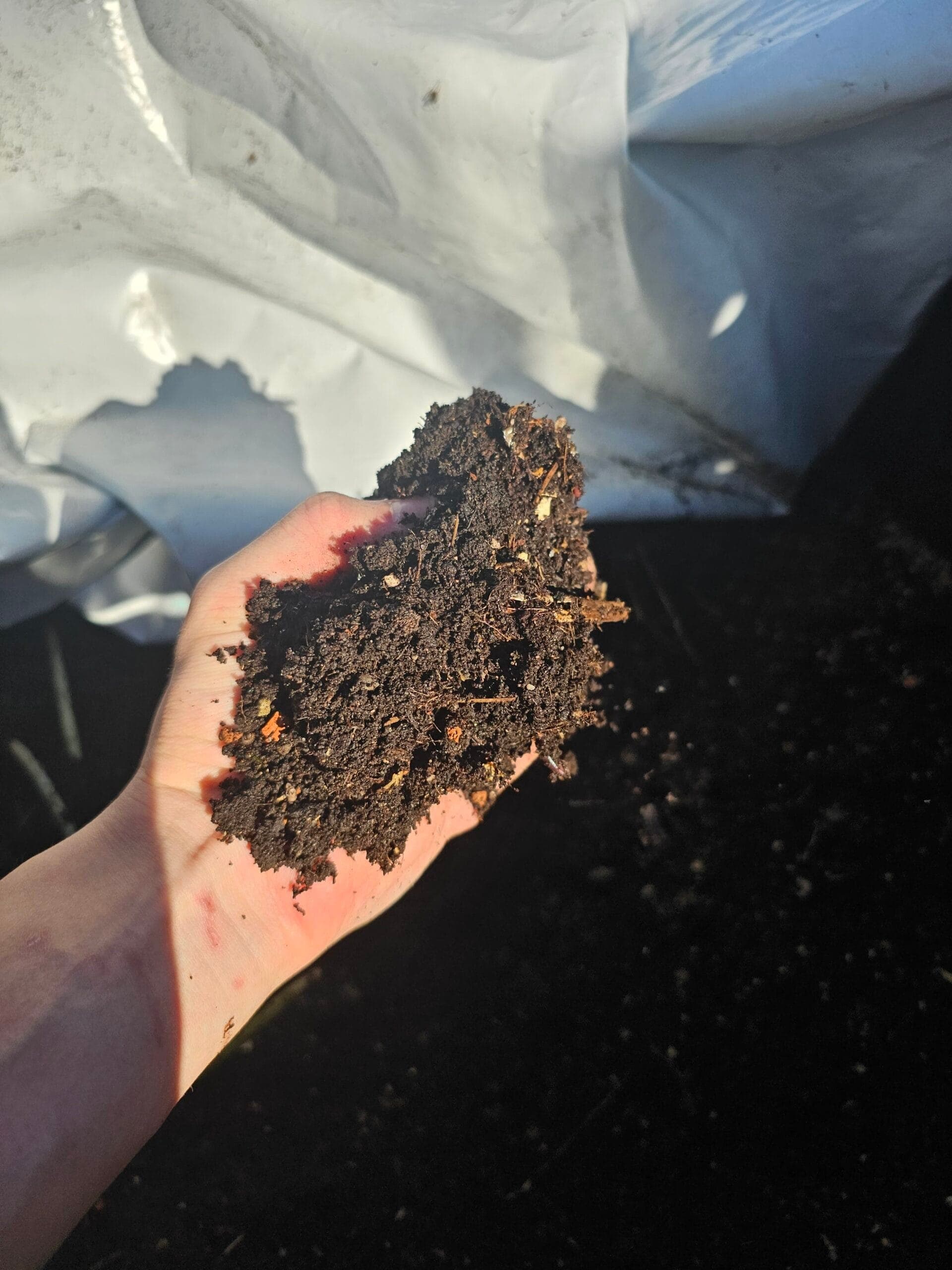 Urban Farm e.V. — Bild 4