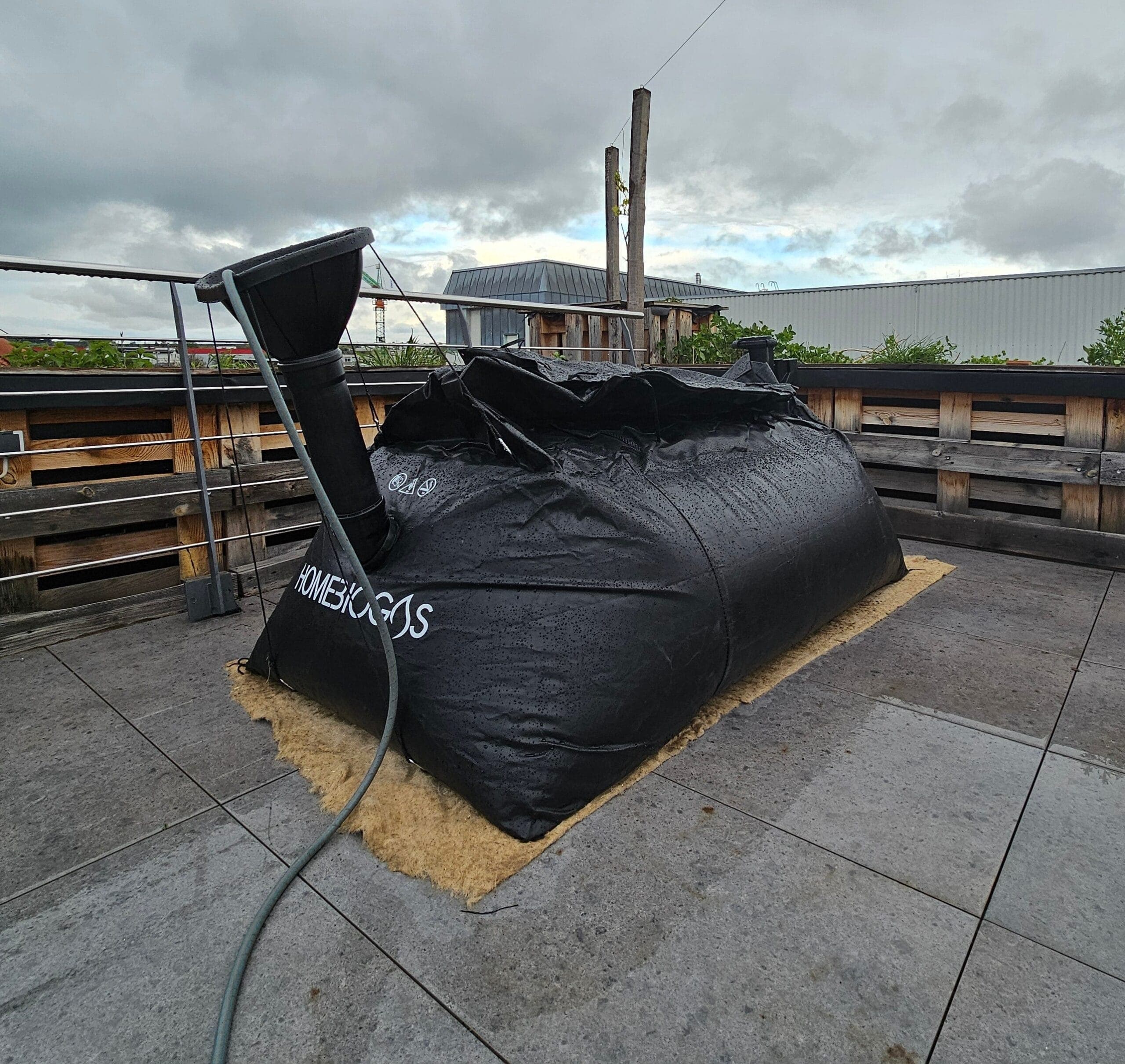 Urban Farm e.V. — Bild 3