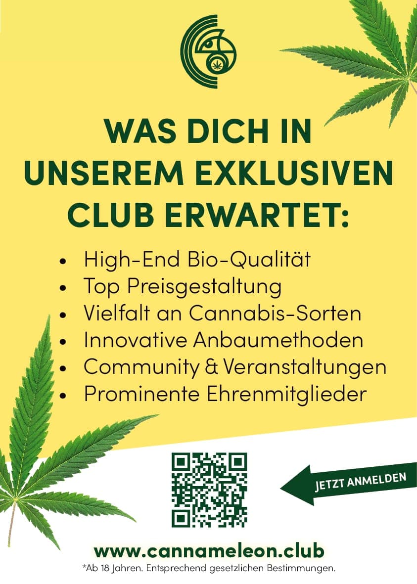 Cannameleon Cannabis Club Mannheim — Bild 1