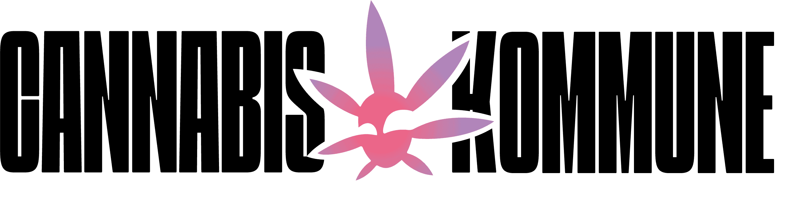 Cannabiskommune Würzburg — Bild 1