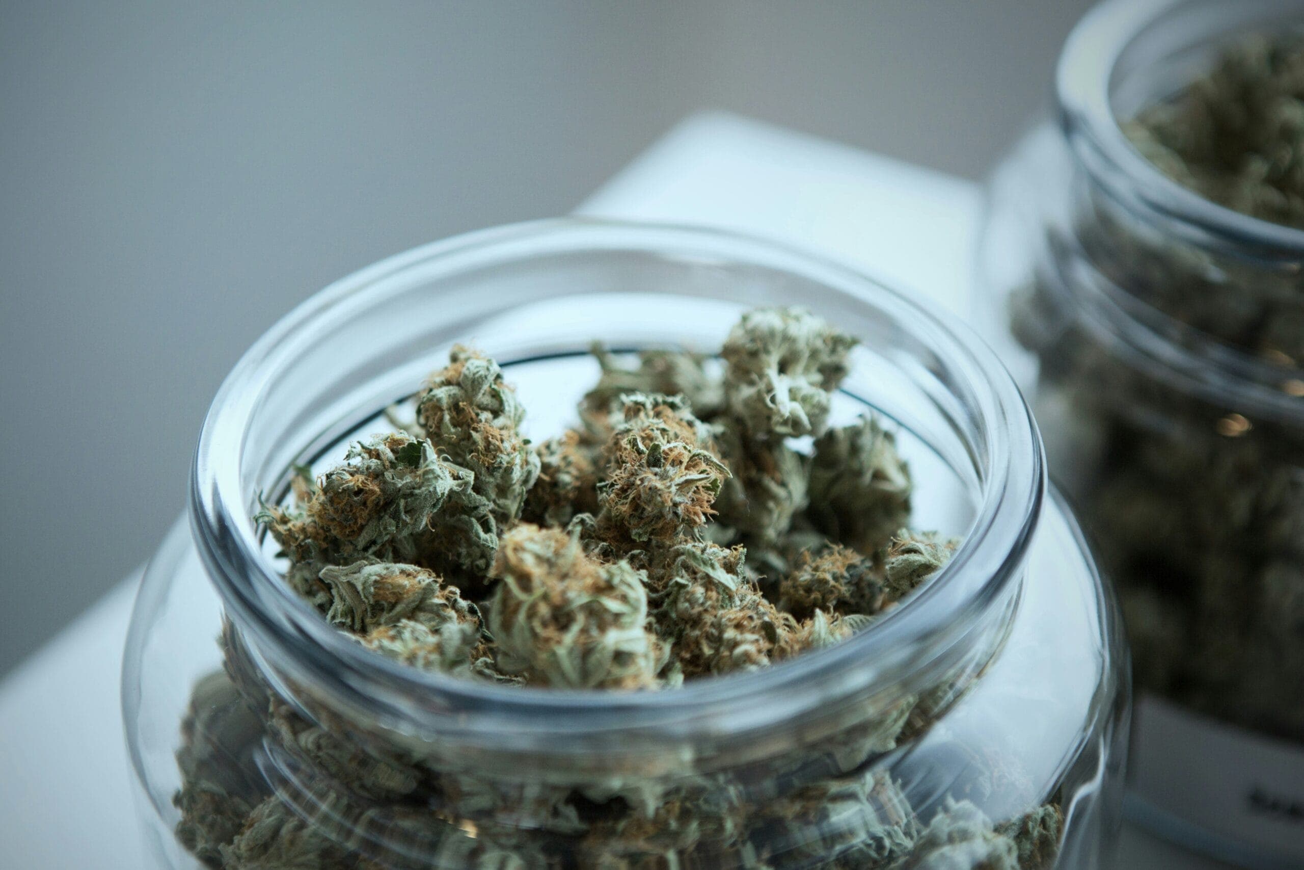 Cannabis Social Club Kempten (Allgäu) — Bild 2