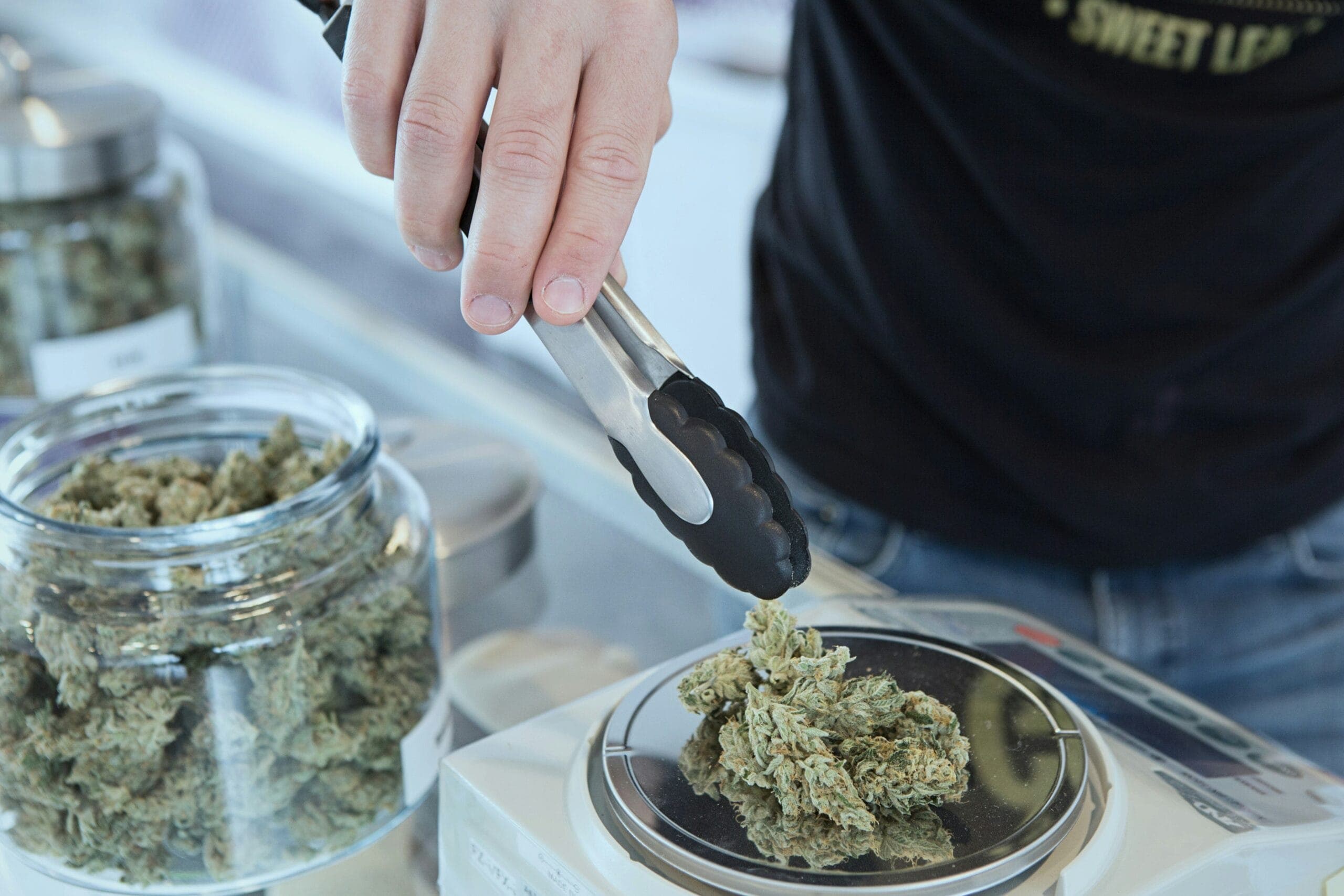 Cannabis Social Club Kempten (Allgäu) — Bild 1
