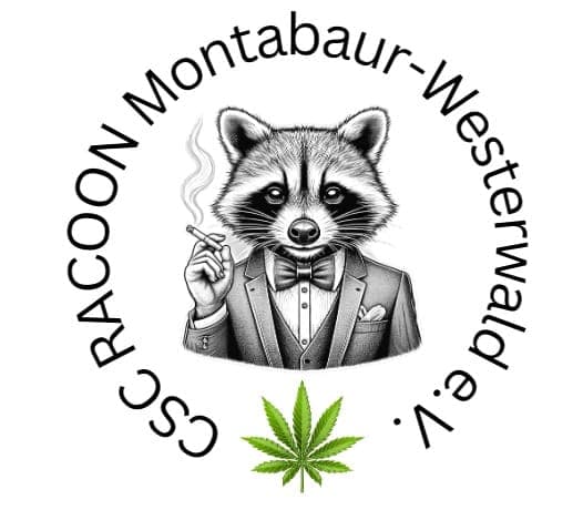 CSC Racoon Montabaur-Westerwald e.V. — Bild 3