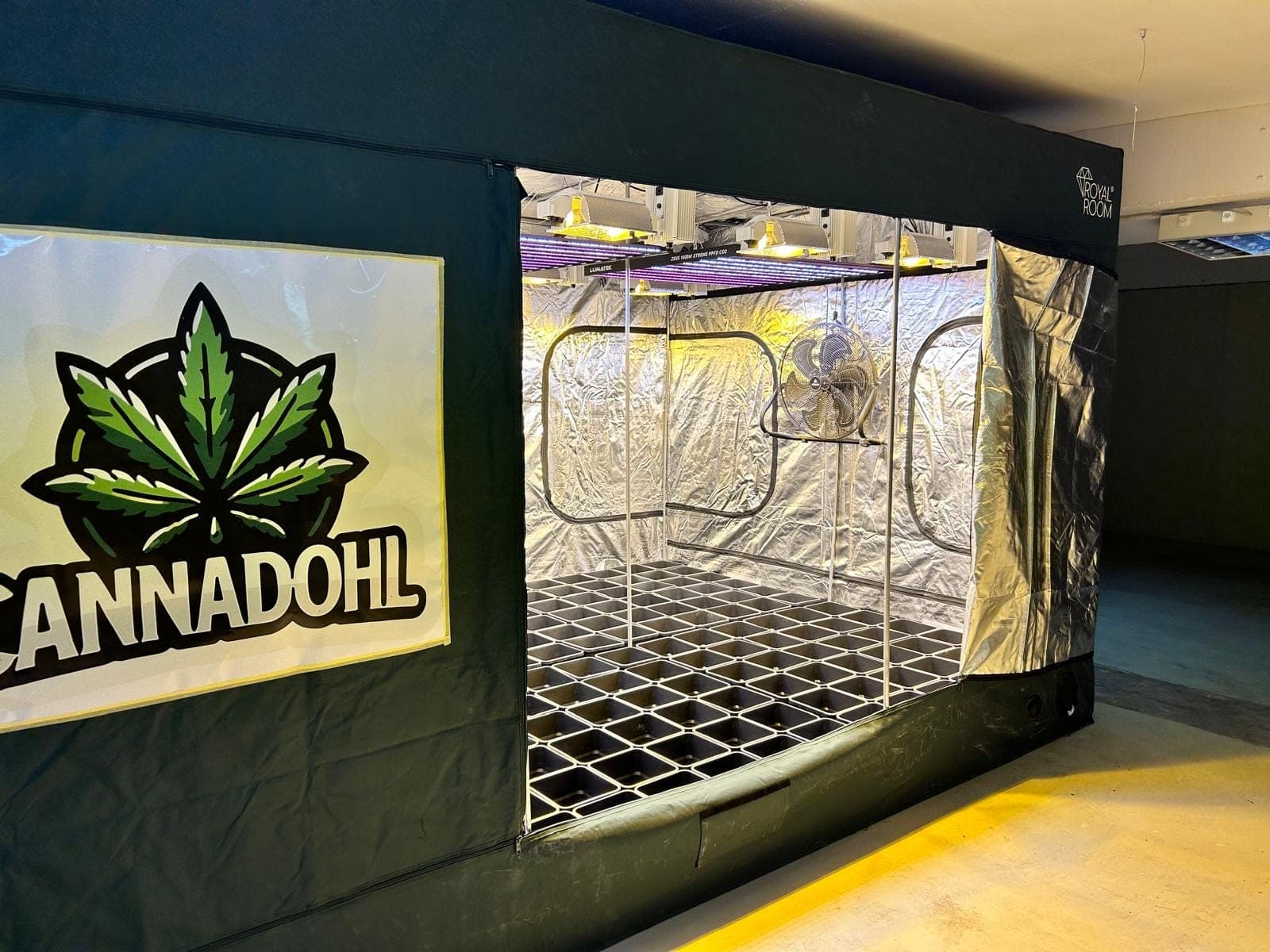 Cannadohl e.V — Bild 1