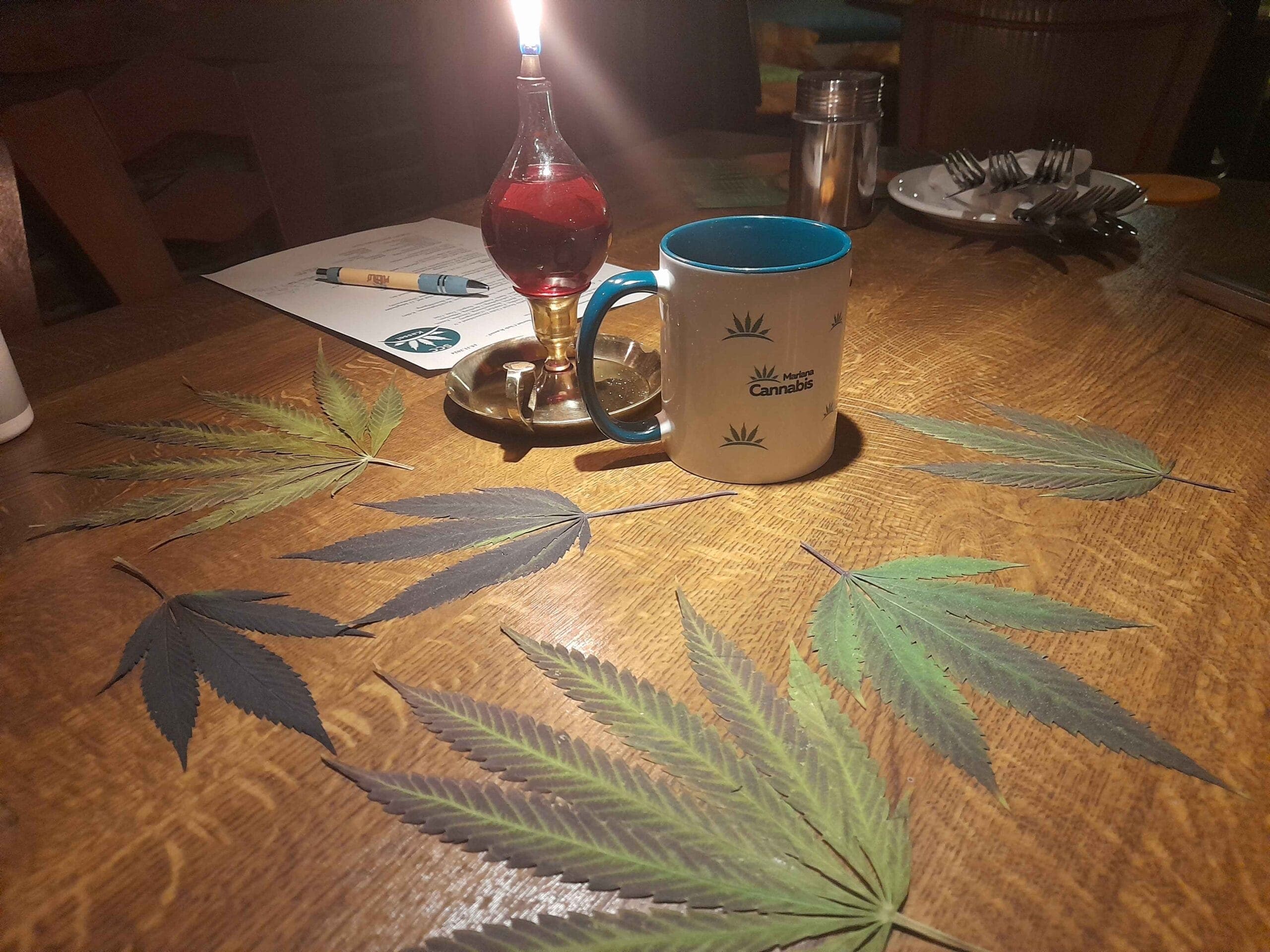 Mariana Cannabis Social Club Kassel e.V. — Bild 2