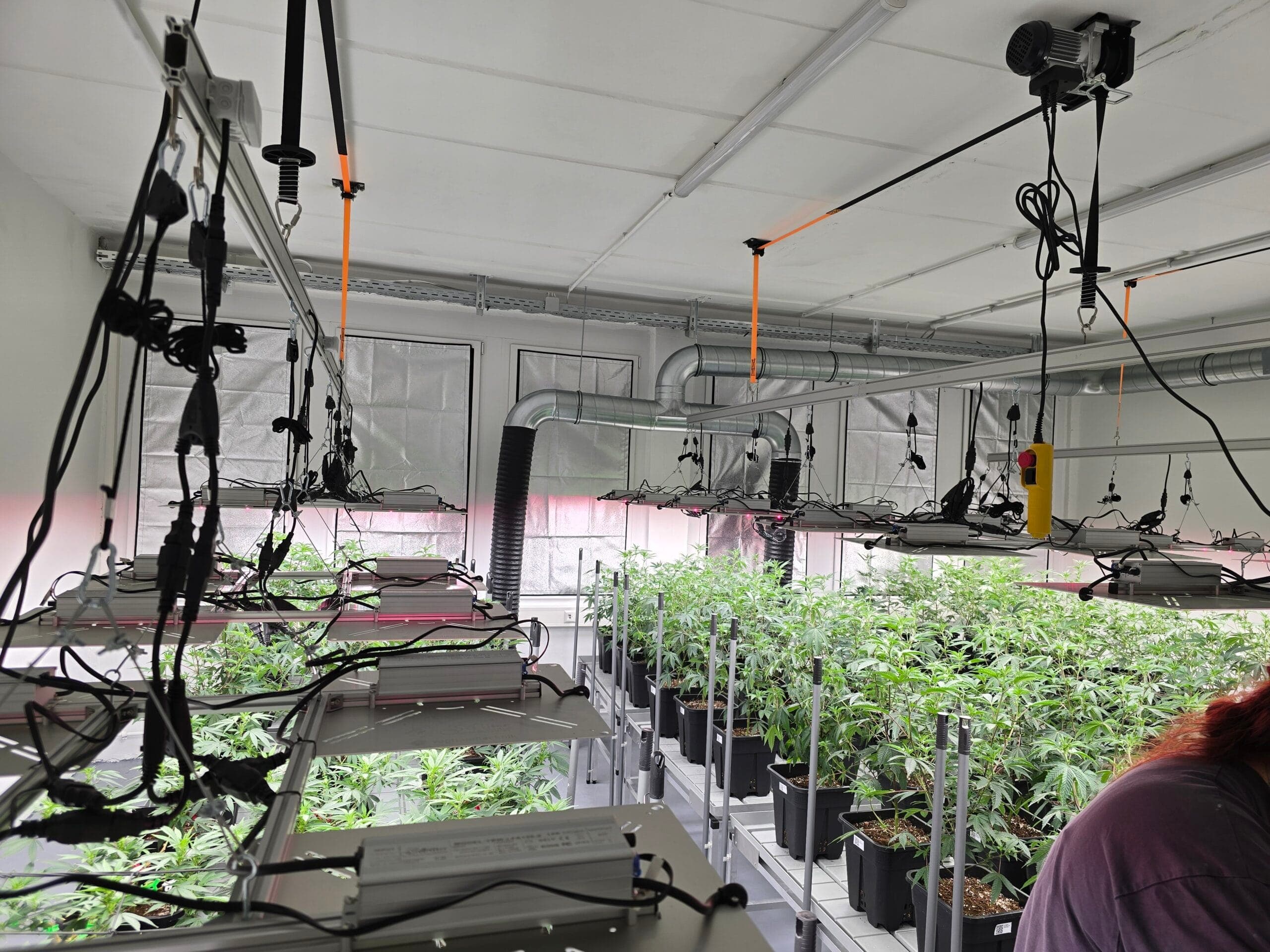 Cannabis Social Club Chemnitz e.V. — Bild 2