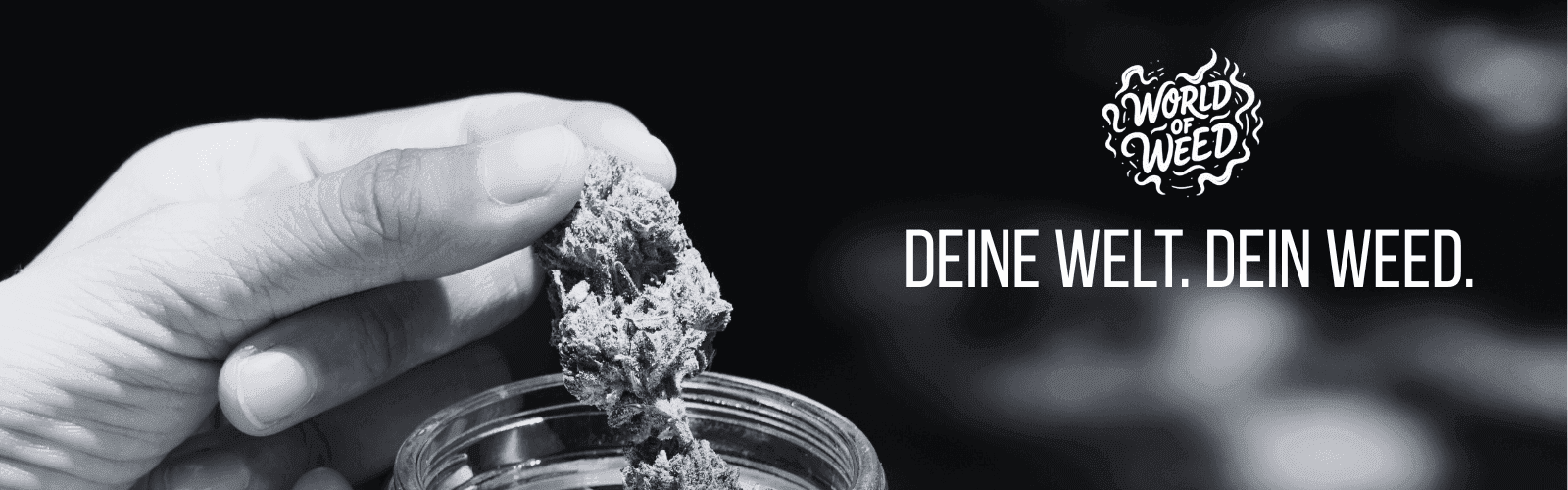 World of Weed Brandenburg e.V. — Bild 1
